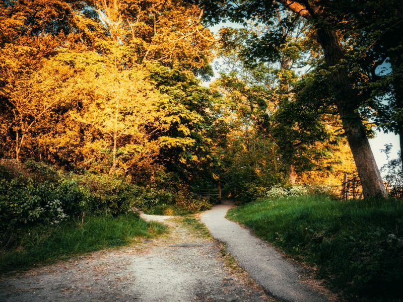 Les chemins de randonnées