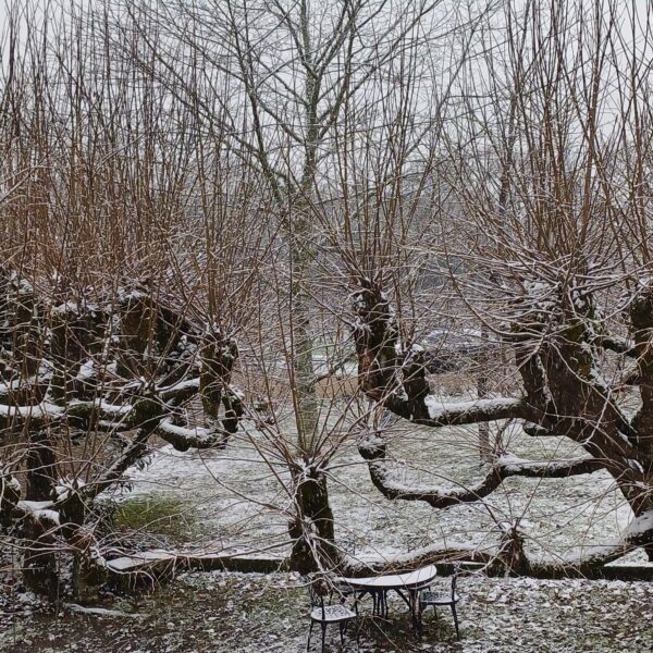 La Longère Bordeaux sous la Neige