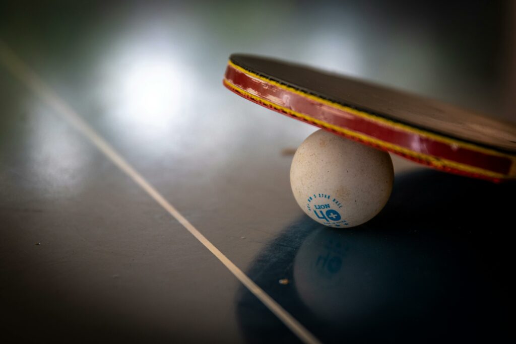 Table de Ping Pong Jeux proposés à la Longère Bordeaux